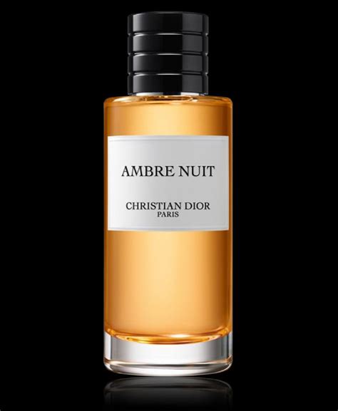 christian dior nuit|Ambre Nuit Dior for women and men .